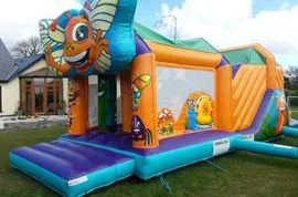 Bugs Obstacle Course Hire Youghal